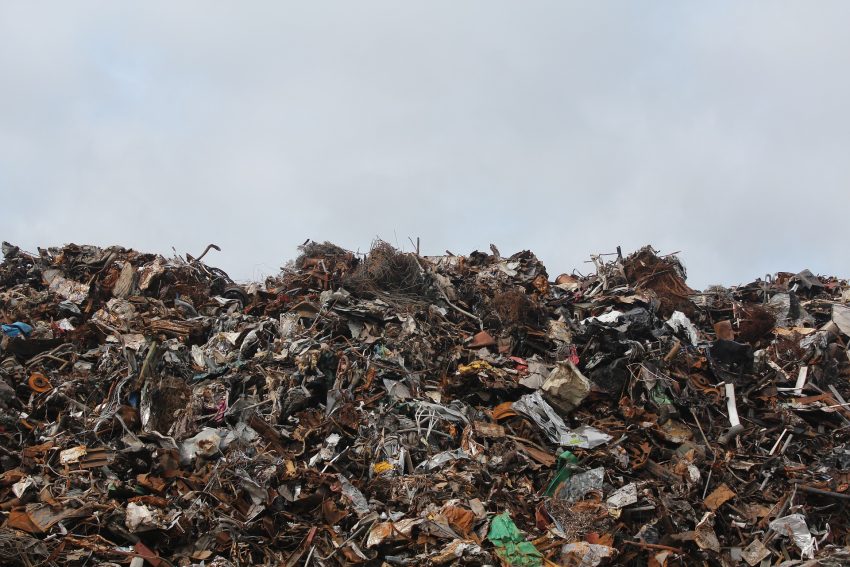 Get Out of the Dump