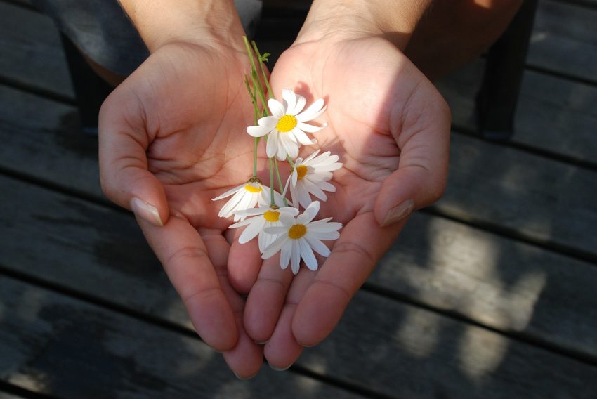 The Art of Giving